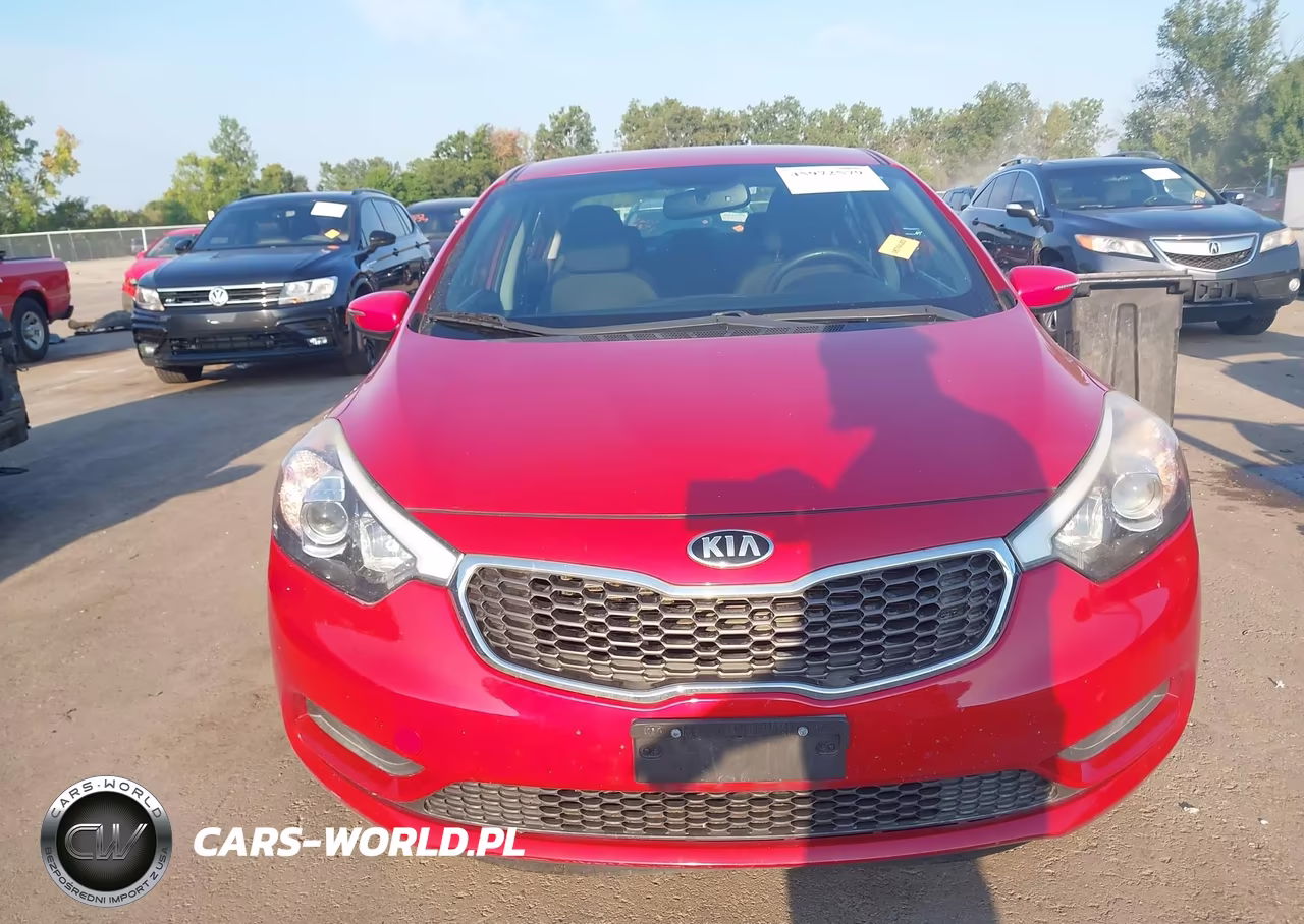 2015 Kia Forte Lx VIN:KNAFX4A6XF5303666 - 11