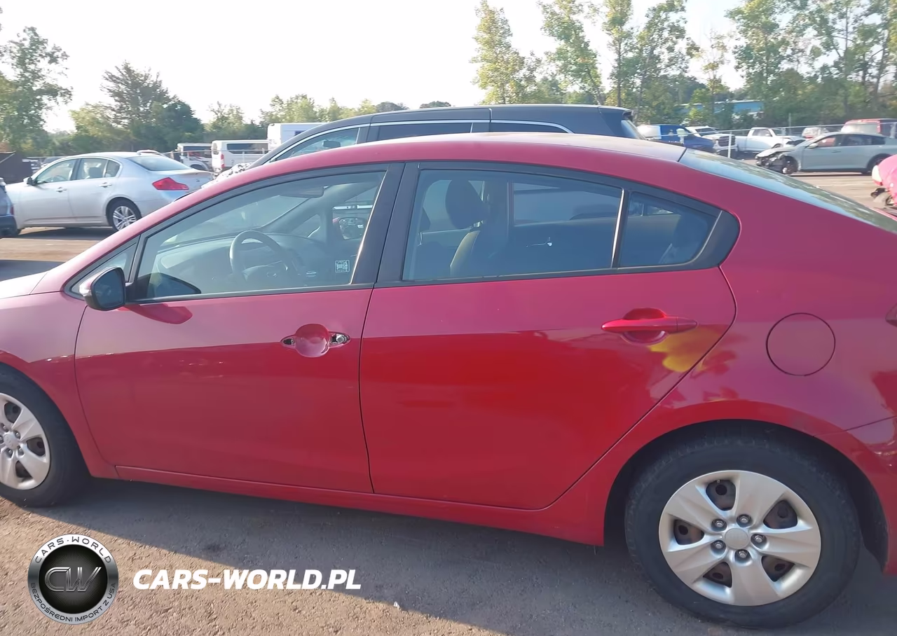 2015 Kia Forte Lx VIN:KNAFX4A6XF5303666 - 13