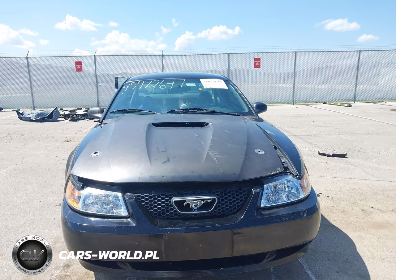 2001 Ford Mustang Gt VIN:1FAFP42X81F160977 - 6