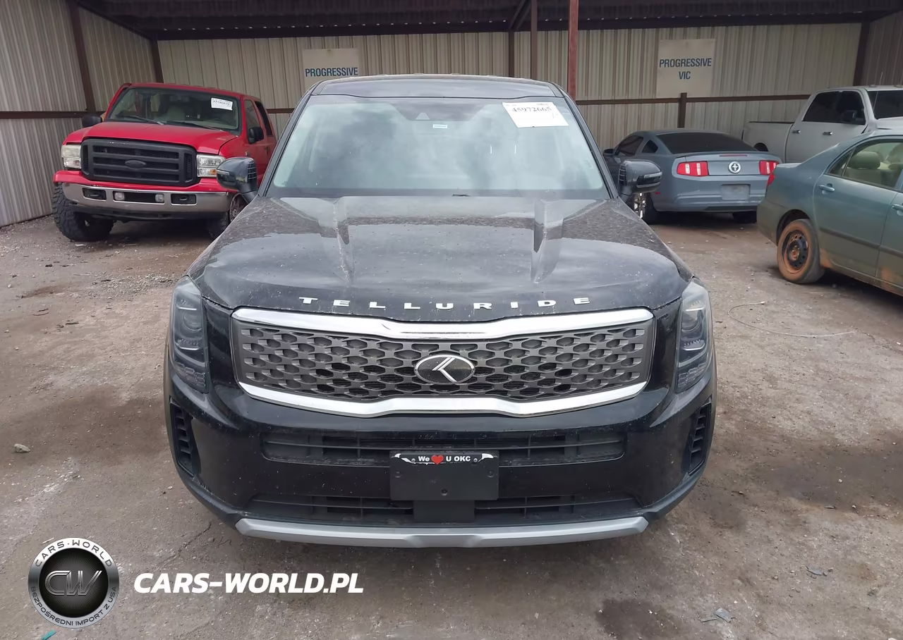 2021 Kia Telluride Lx VIN:5XYP24HC0MG135414 - 13