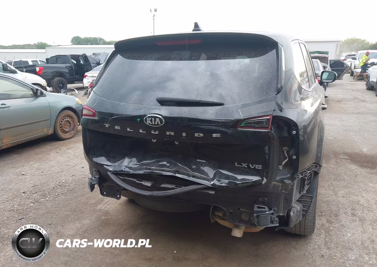 2021 Kia Telluride Lx VIN:5XYP24HC0MG135414 - 17