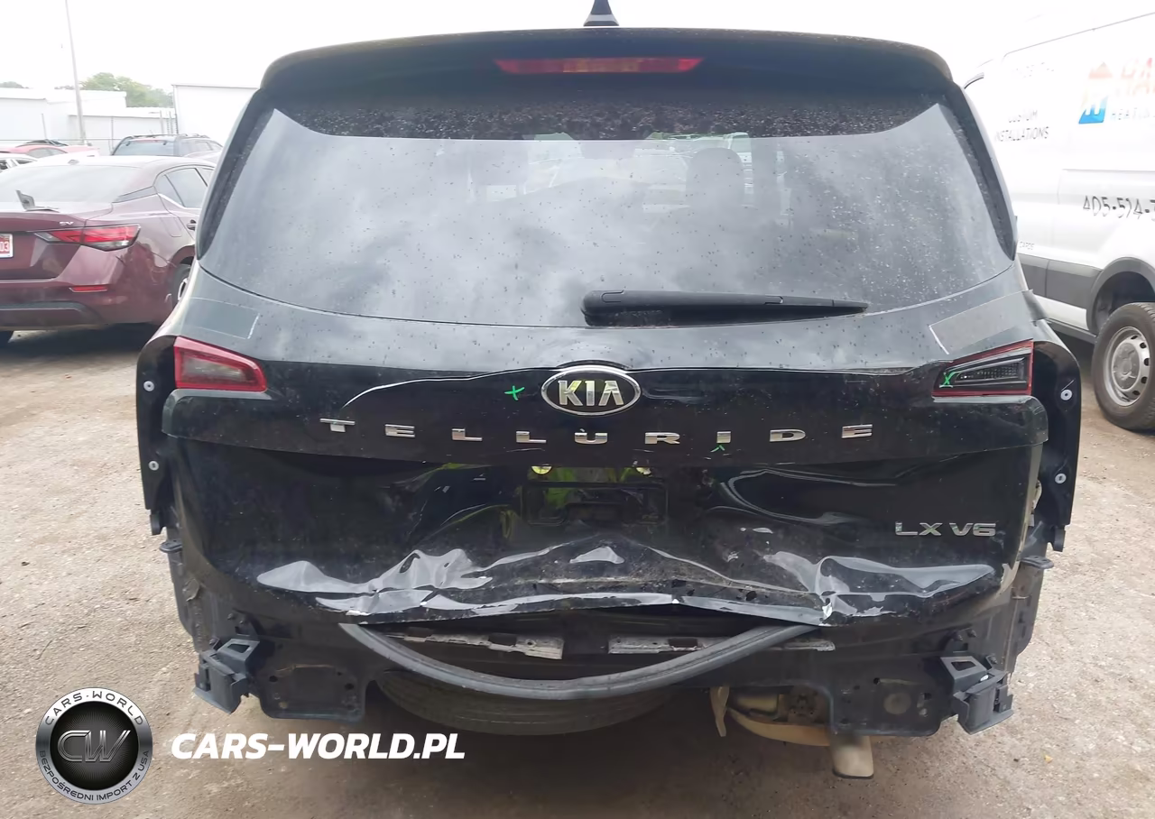 2021 Kia Telluride Lx VIN:5XYP24HC0MG135414 - 6