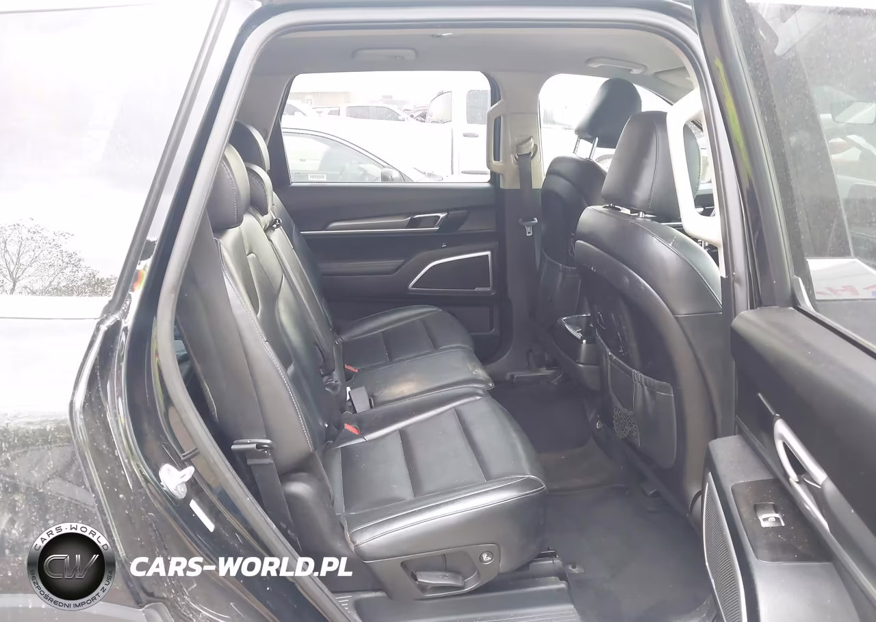 2021 Kia Telluride Lx VIN:5XYP24HC0MG135414 - 8