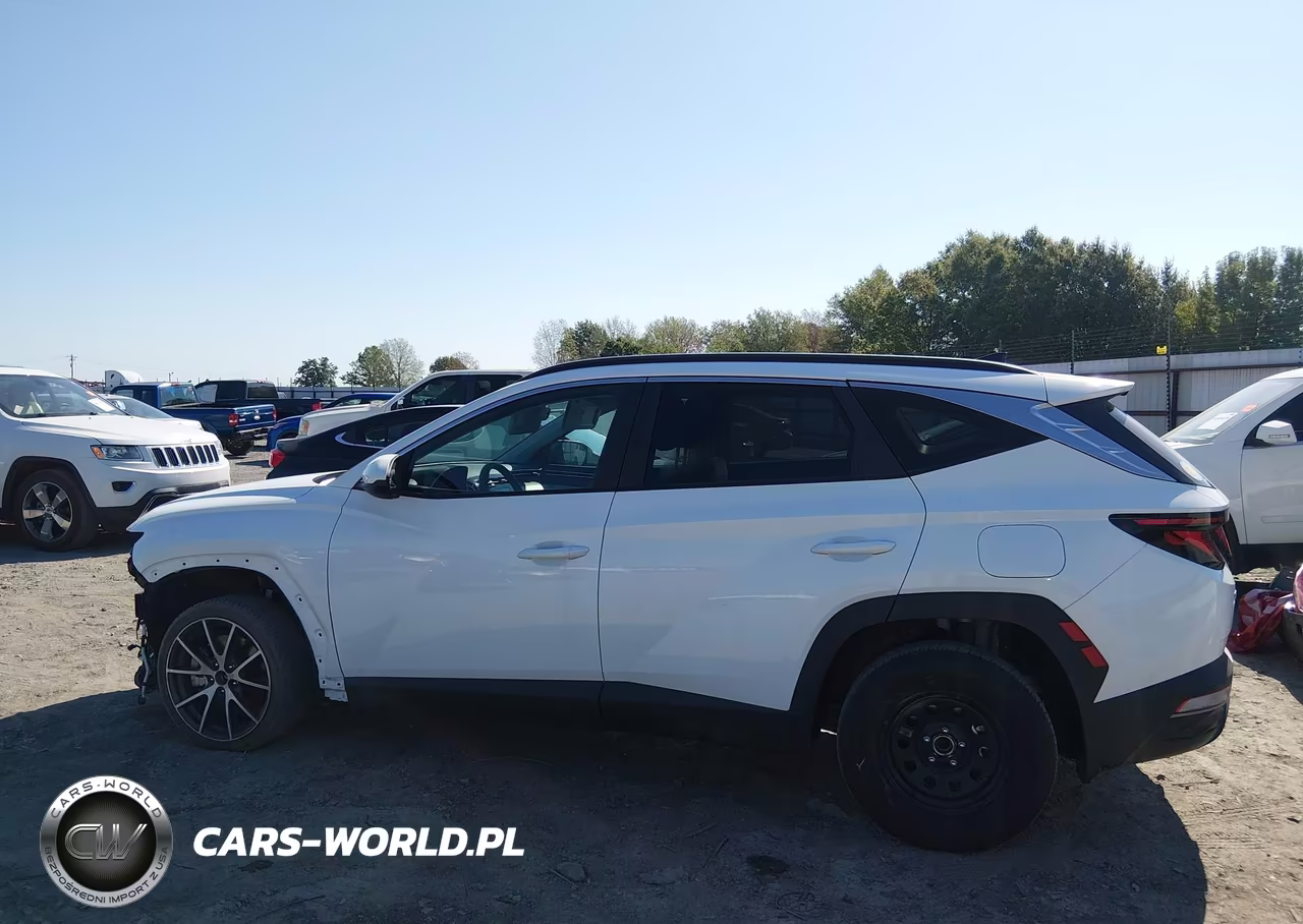 2024 Hyundai Tucson Sel VIN:5NMJB3DE3RH420242 - 14