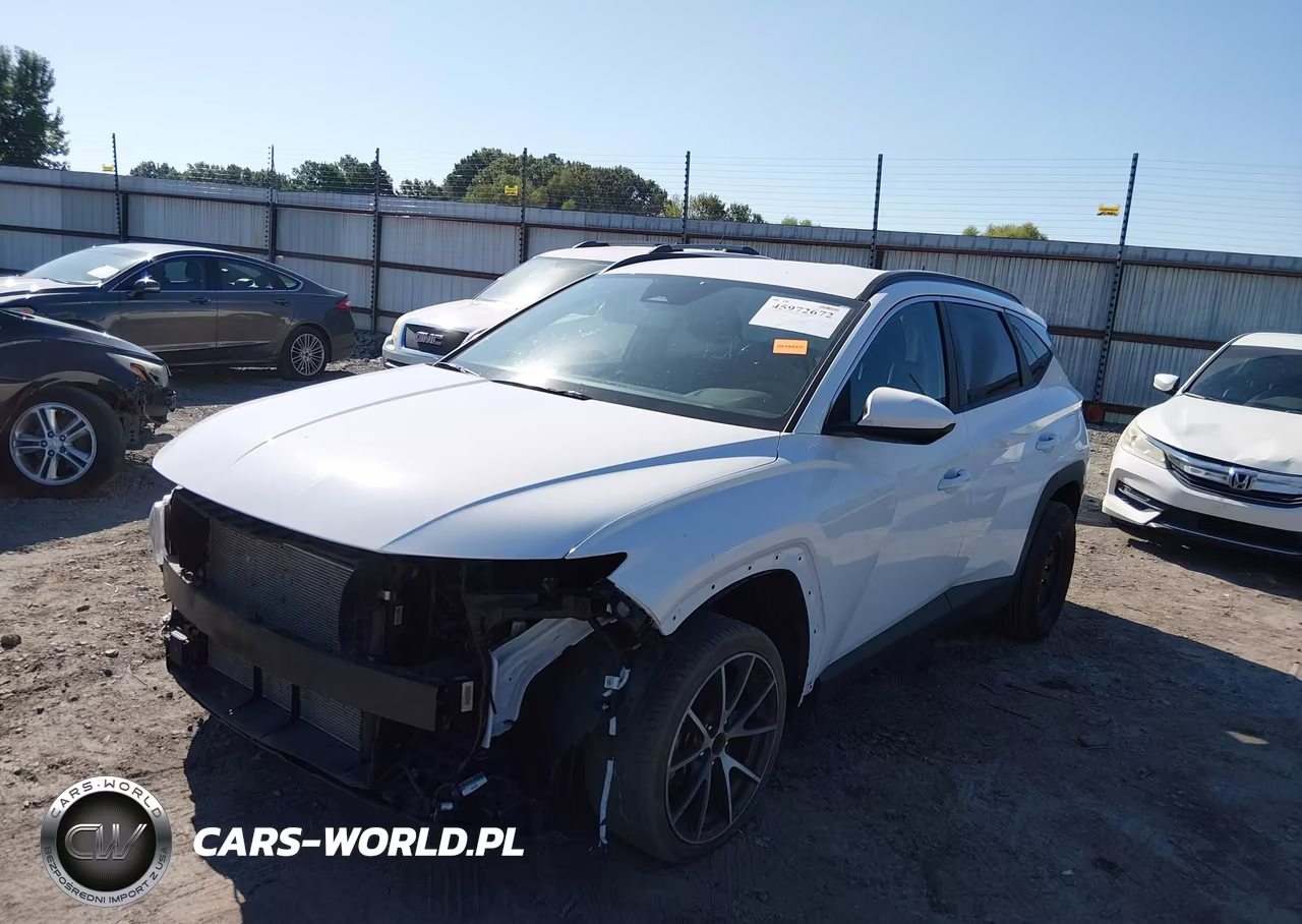 2024 Hyundai Tucson Sel VIN:5NMJB3DE3RH420242 - 2