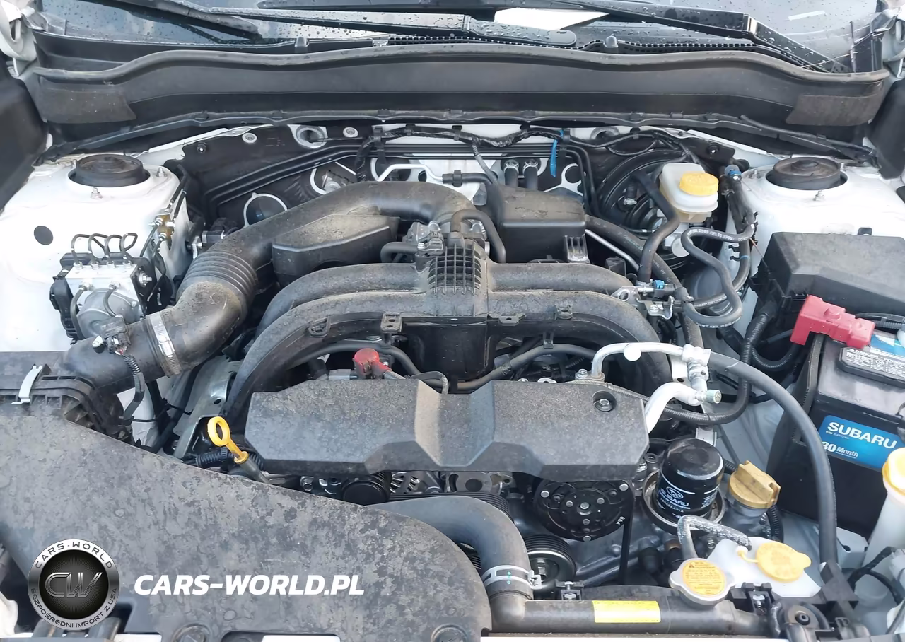 2018 Subaru Forester 2.5I Premium VIN:JF2SJADC8JH609227 - 10