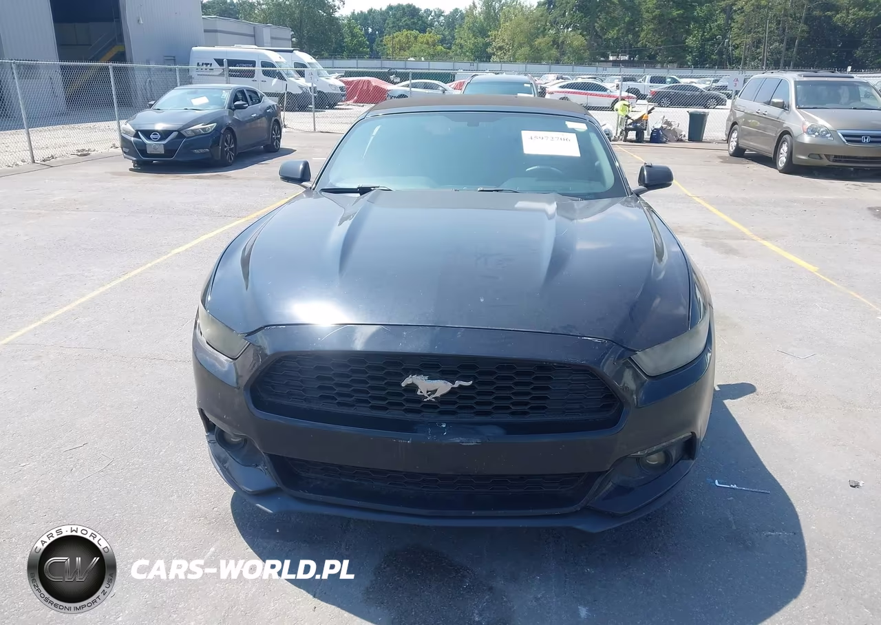 2016 Ford Mustang Ecoboost Premium VIN:1FATP8UH8G5300024 - 12