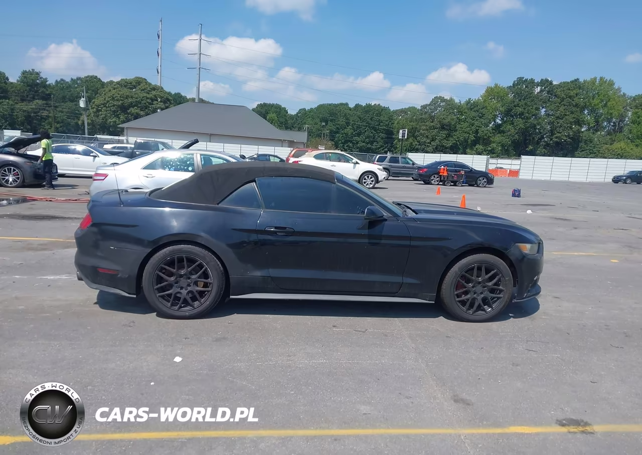 2016 Ford Mustang Ecoboost Premium VIN:1FATP8UH8G5300024 - 13