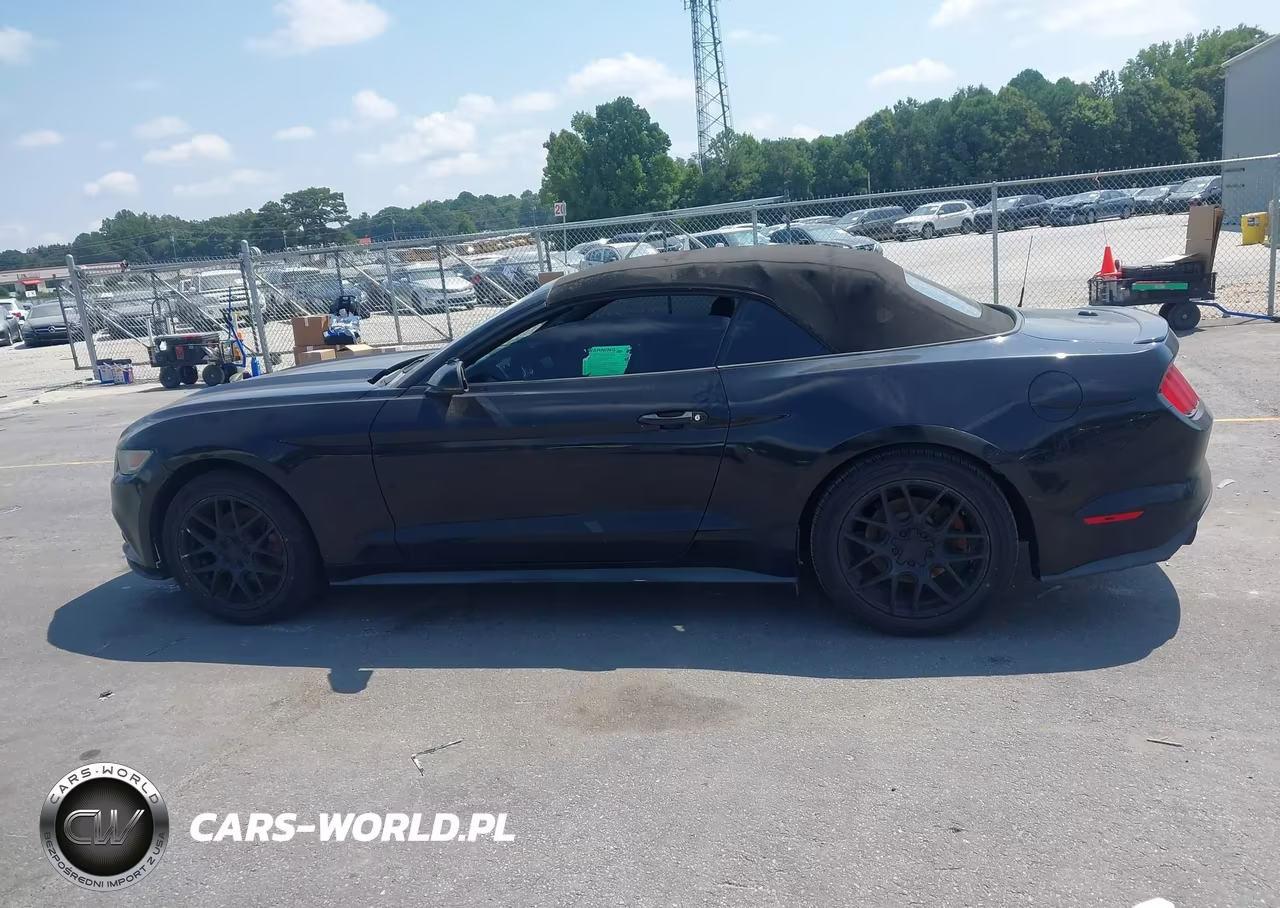 2016 Ford Mustang Ecoboost Premium VIN:1FATP8UH8G5300024 - 14