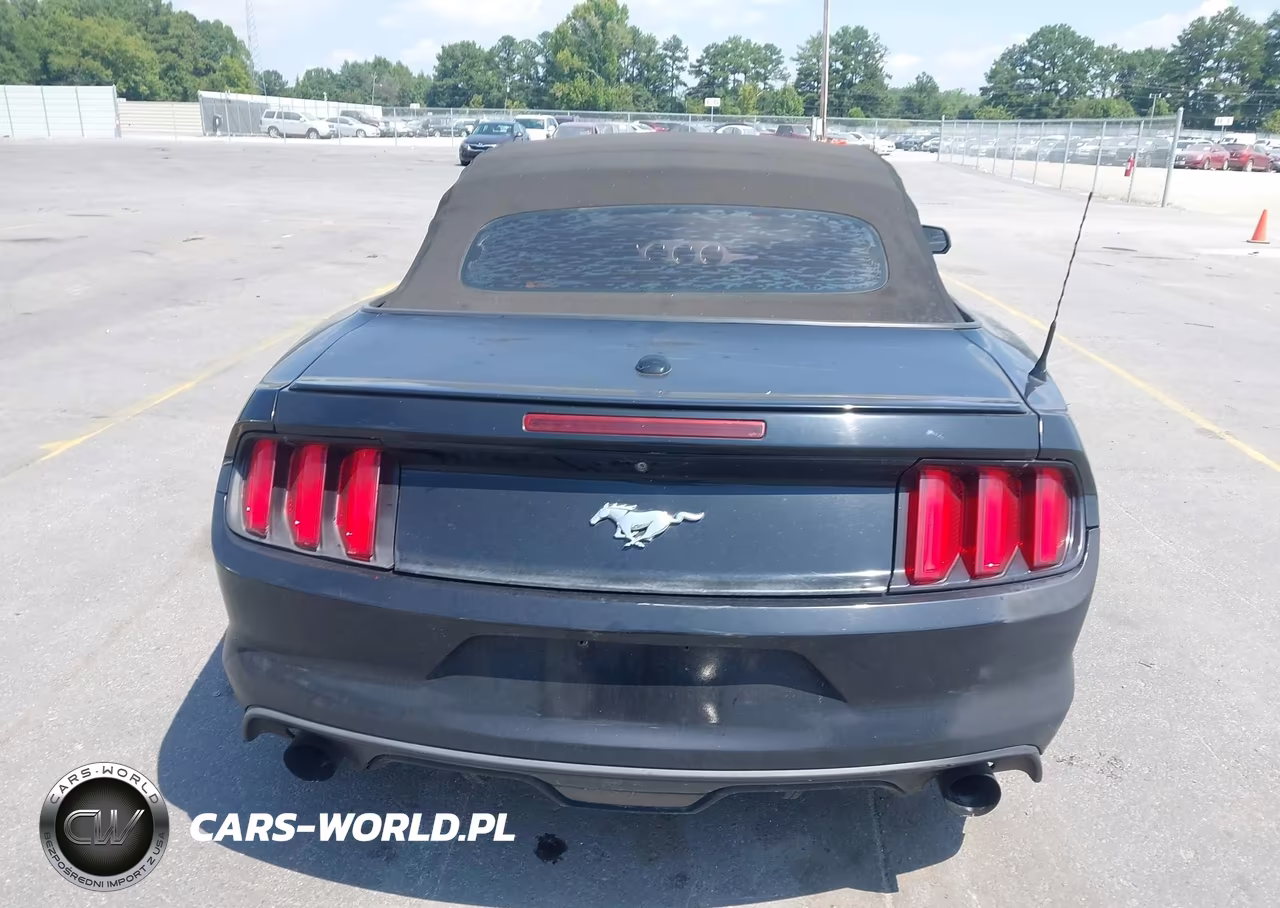 2016 Ford Mustang Ecoboost Premium VIN:1FATP8UH8G5300024 - 16
