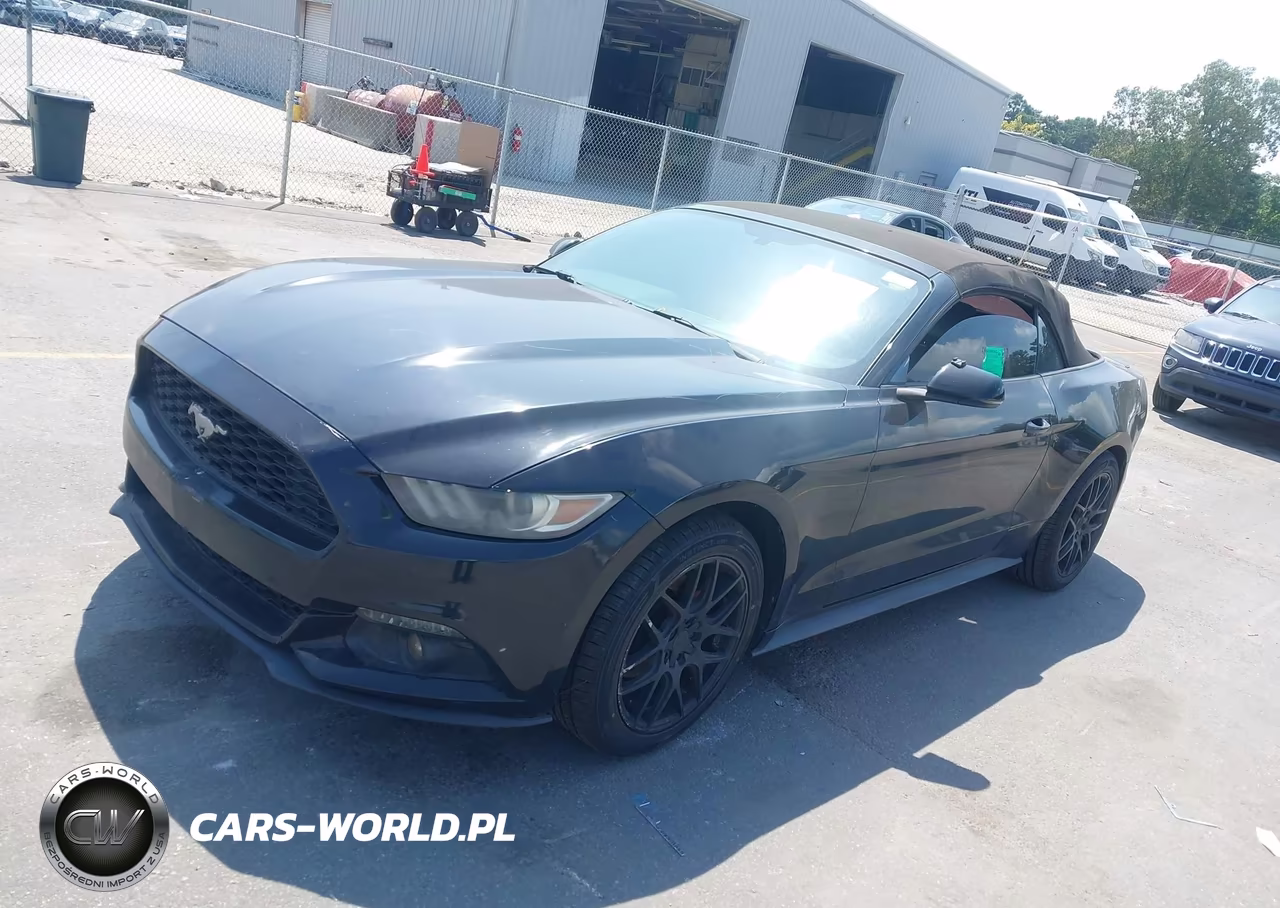 2016 Ford Mustang Ecoboost Premium VIN:1FATP8UH8G5300024 - 2