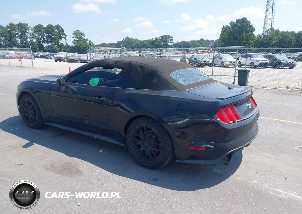 2016 Ford Mustang Ecoboost Premium VIN:1FATP8UH8G5300024 - 3