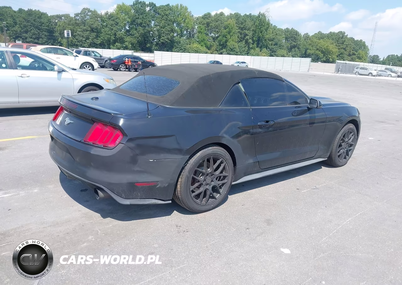 2016 Ford Mustang Ecoboost Premium VIN:1FATP8UH8G5300024 - 4