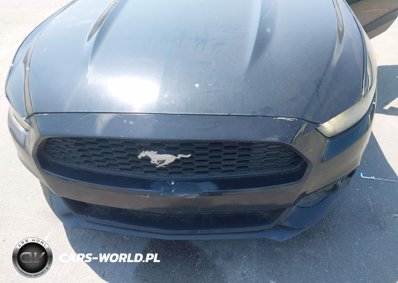 2016 Ford Mustang Ecoboost Premium VIN:1FATP8UH8G5300024 - 6
