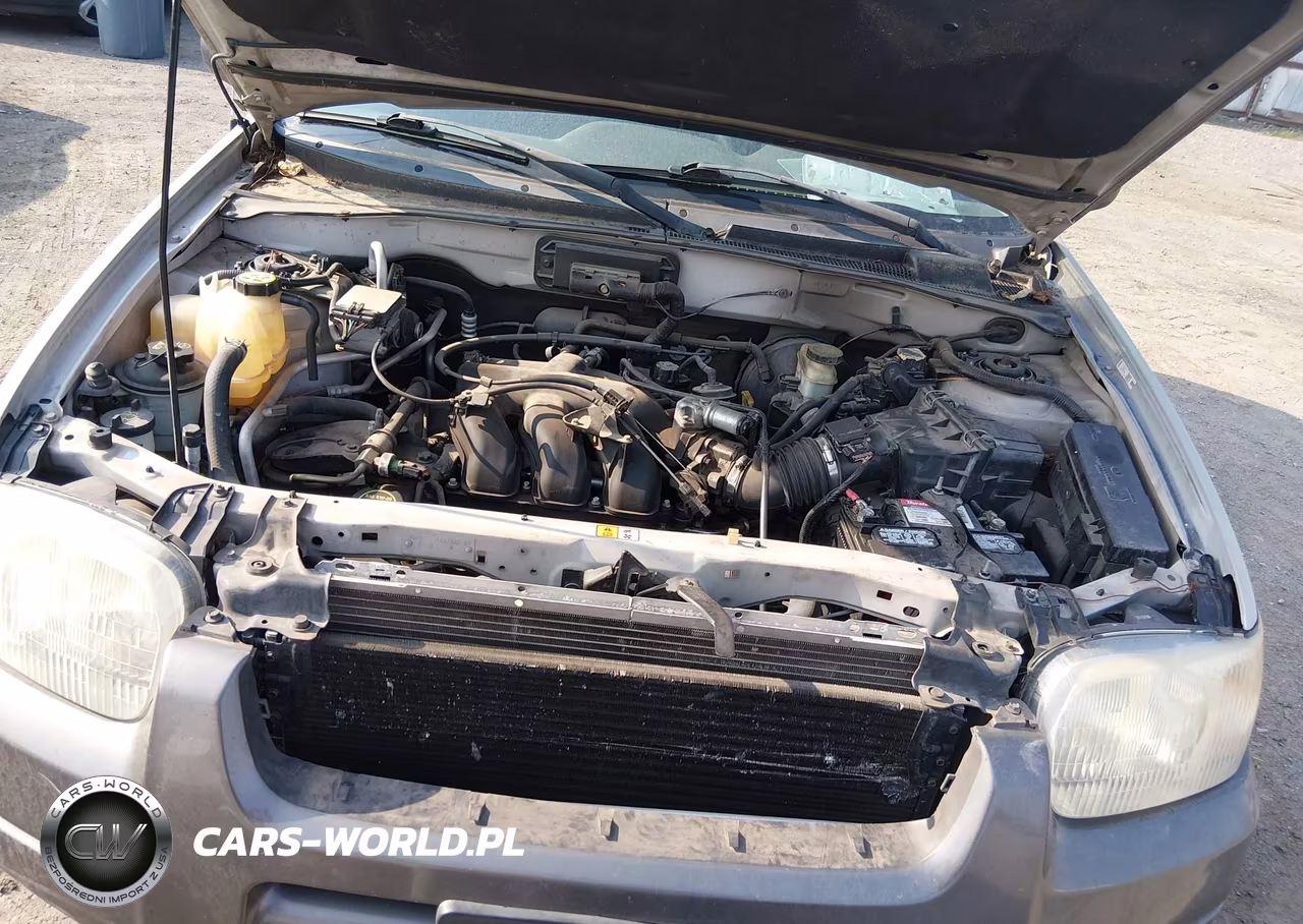 2004 Ford Escape Xlt VIN:1FMYU031X4KB21264 - 10