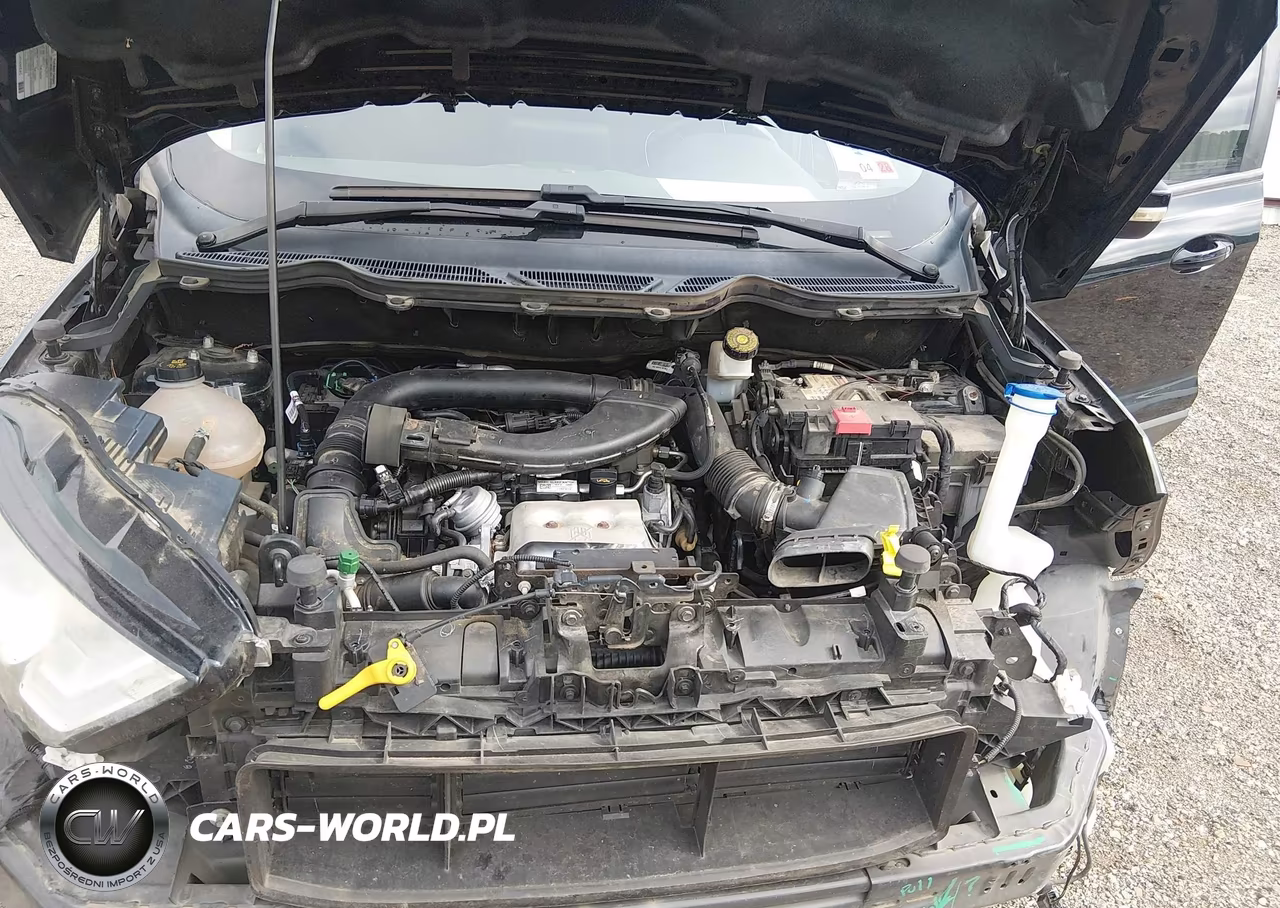 2020 Ford Ecosport Se VIN:MAJ3S2GE4LC311329 - 10
