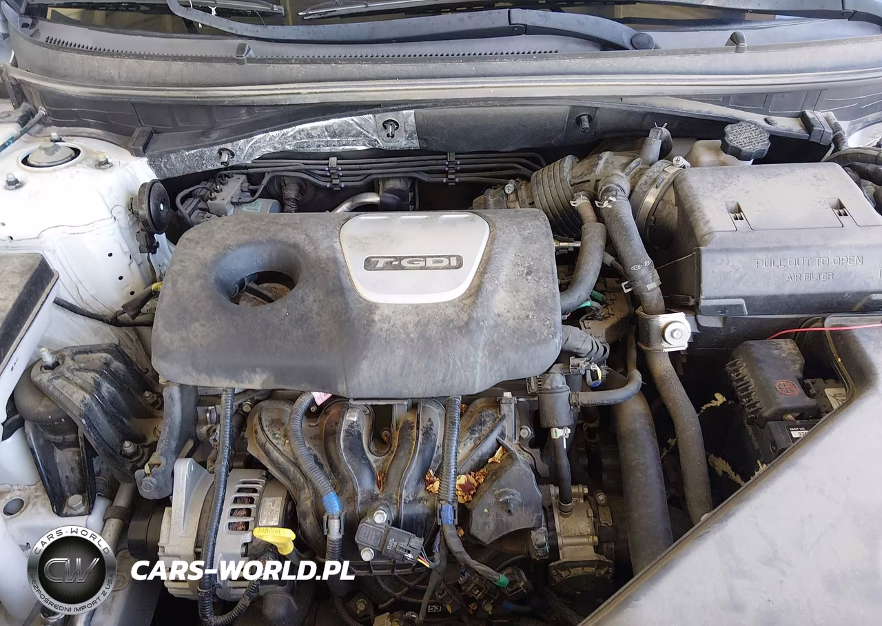 2019 Hyundai Sonata Eco VIN:5NPE24AA9KH801708 - 10