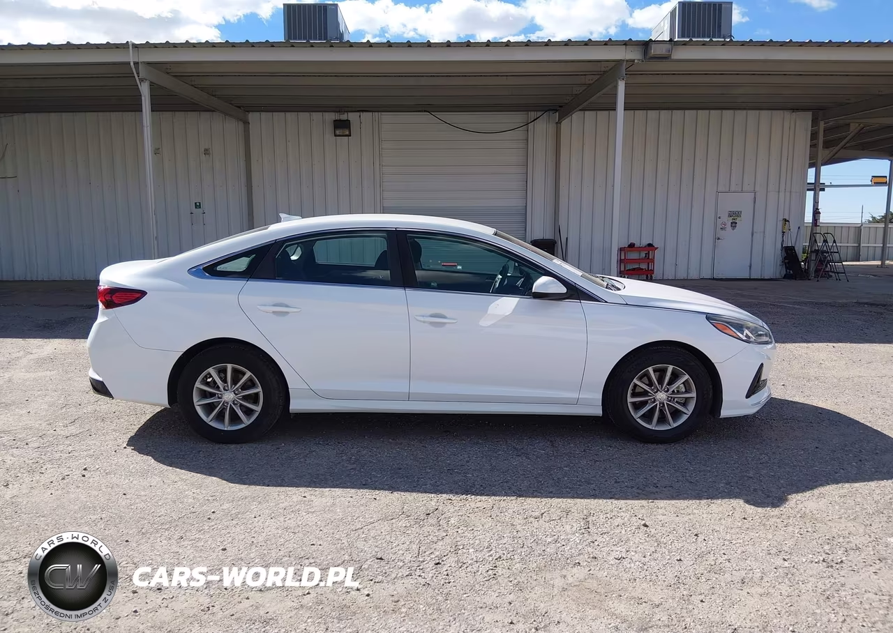 2019 Hyundai Sonata Eco VIN:5NPE24AA9KH801708 - 13