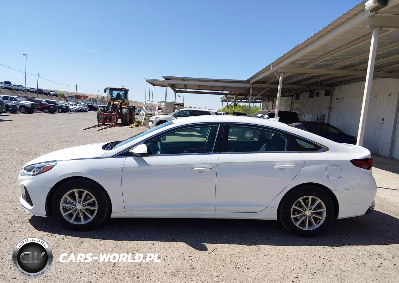 2019 Hyundai Sonata Eco VIN:5NPE24AA9KH801708 - 14
