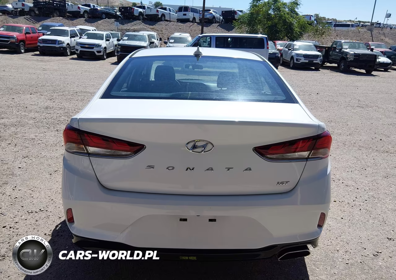 2019 Hyundai Sonata Eco VIN:5NPE24AA9KH801708 - 16