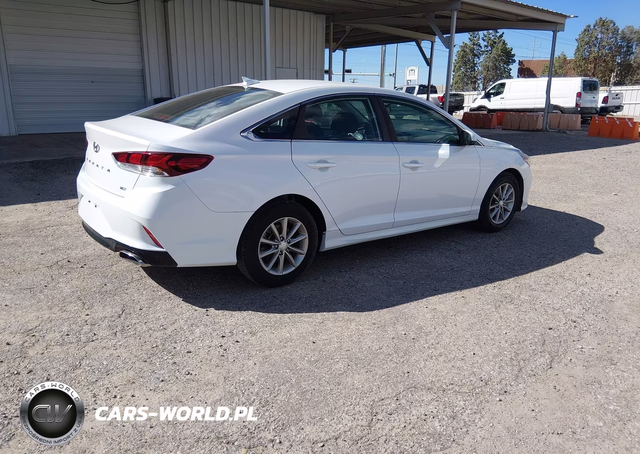 2019 Hyundai Sonata Eco VIN:5NPE24AA9KH801708 - 4
