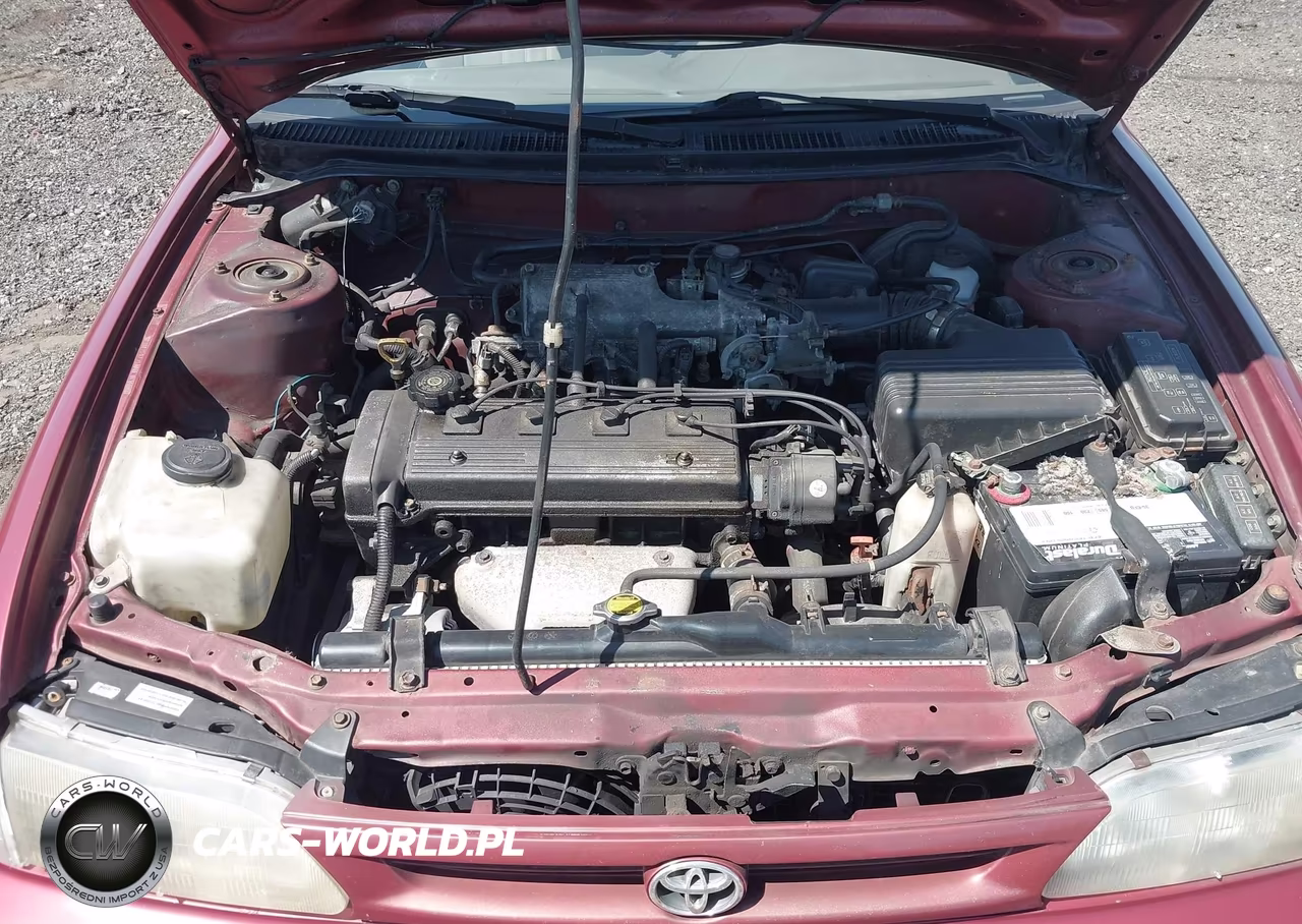 1997 Toyota Corolla Ce VIN:2T1BA02E3VC221071 - 10