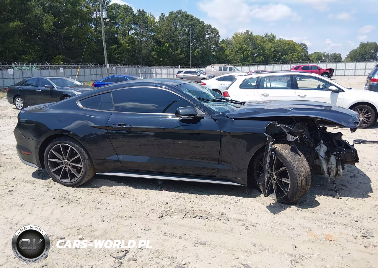 2018 Ford Mustang Ecoboost VIN:1FA6P8TH9J5159891 - 14