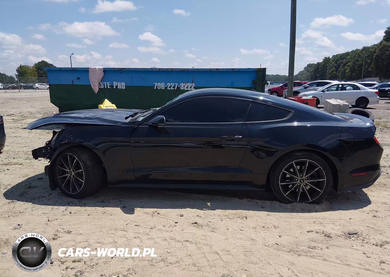 2018 Ford Mustang Ecoboost VIN:1FA6P8TH9J5159891 - 15