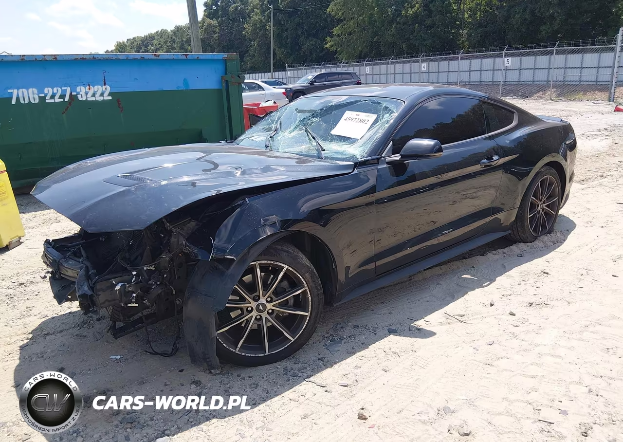 2018 Ford Mustang Ecoboost VIN:1FA6P8TH9J5159891 - 2