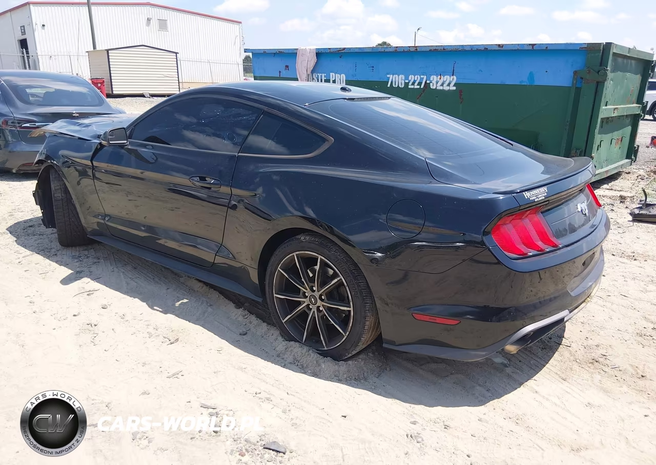 2018 Ford Mustang Ecoboost VIN:1FA6P8TH9J5159891 - 3
