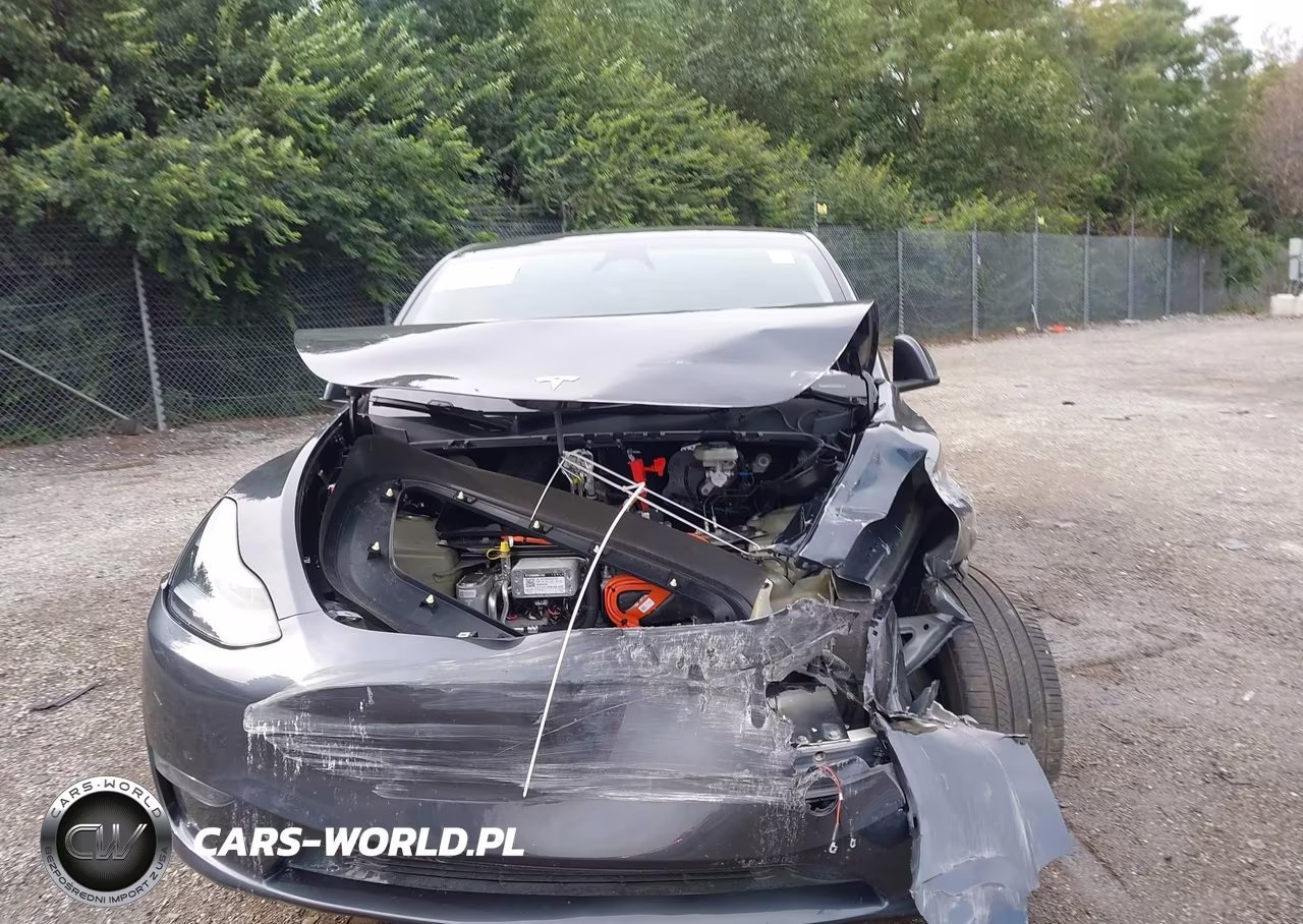 2025 Tesla Model Y Long Range Dual Motor Rear-Wheel Drive VIN:7SAYGDED2SA361624 - 12