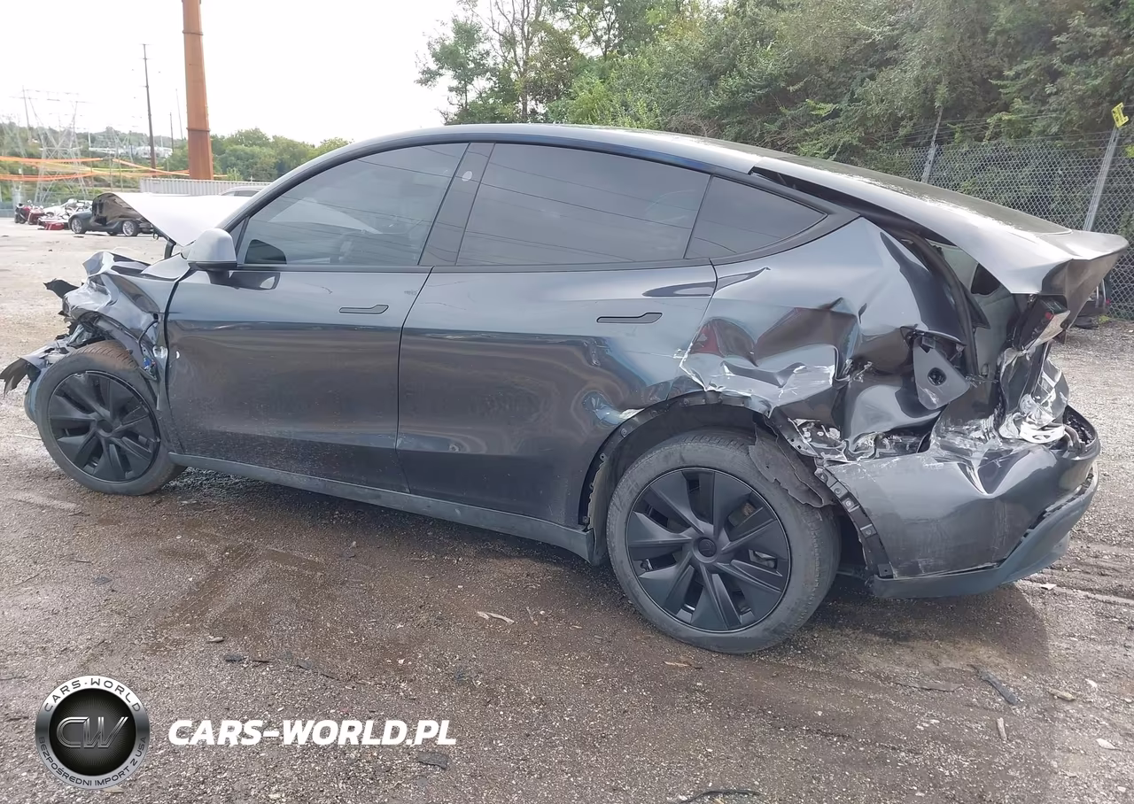 2025 Tesla Model Y Long Range Dual Motor Rear-Wheel Drive VIN:7SAYGDED2SA361624 - 3