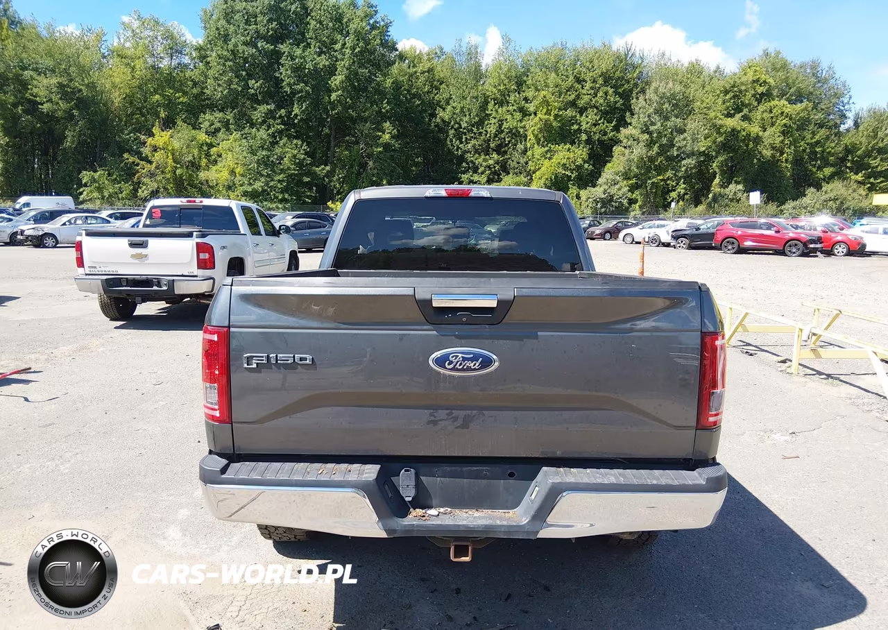 2015 Ford F-150 Xlt VIN:1FTEX1EP4FFB75418 - 17