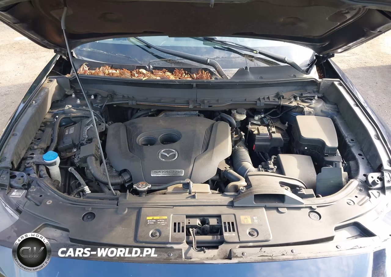 2018 Mazda Cx-9 Grand Touring VIN:JM3TCBDY1J0204475 - 10