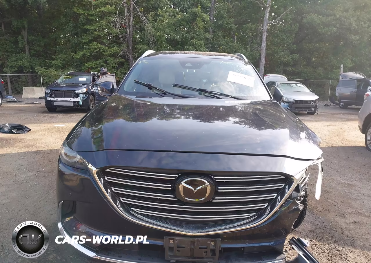 2018 Mazda Cx-9 Grand Touring VIN:JM3TCBDY1J0204475 - 12