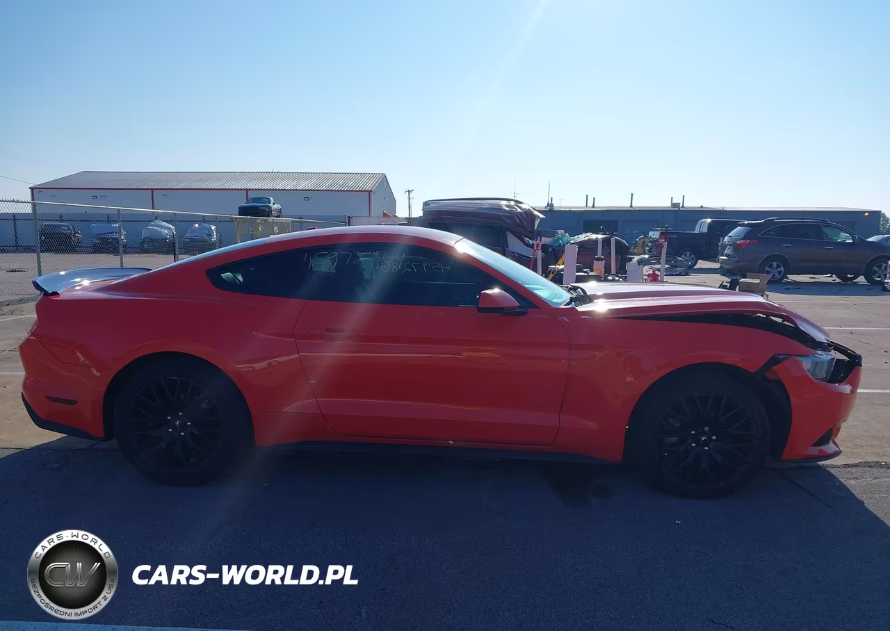 2015 Ford Mustang Ecoboost VIN:1FA6P8TH8F5305656 - 13