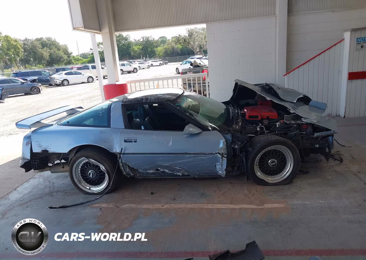 1984 Chevrolet Corvette VIN:1G1AY0787E5144527 - 13