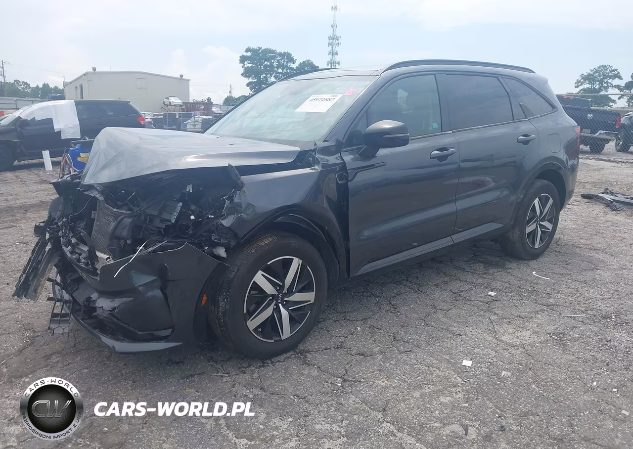 2021 Kia Sorento S VIN:5XYRL4LC3MG010064 - 2