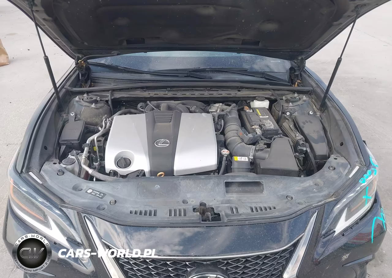 2019 Lexus Es 350 F Sport VIN:58ABZ1B17KU001317 - 10
