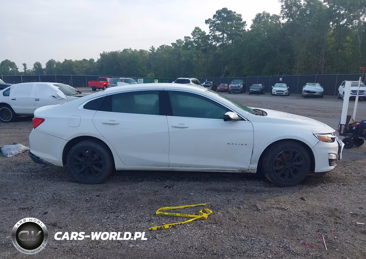 2023 Chevrolet Malibu Fwd 1Lt VIN:1G1ZD5ST9PF179333 - 13