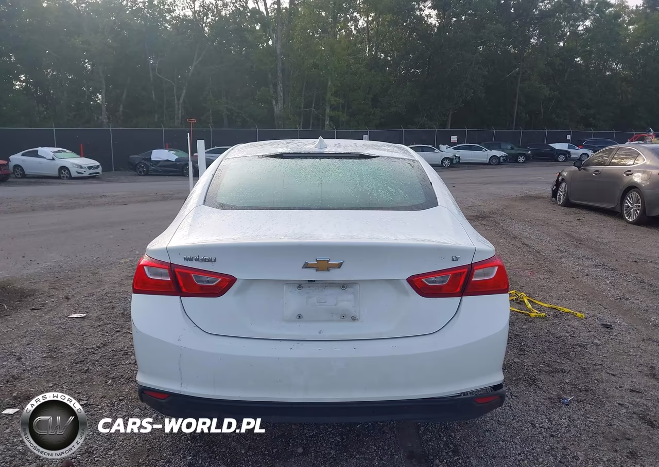 2023 Chevrolet Malibu Fwd 1Lt VIN:1G1ZD5ST9PF179333 - 16