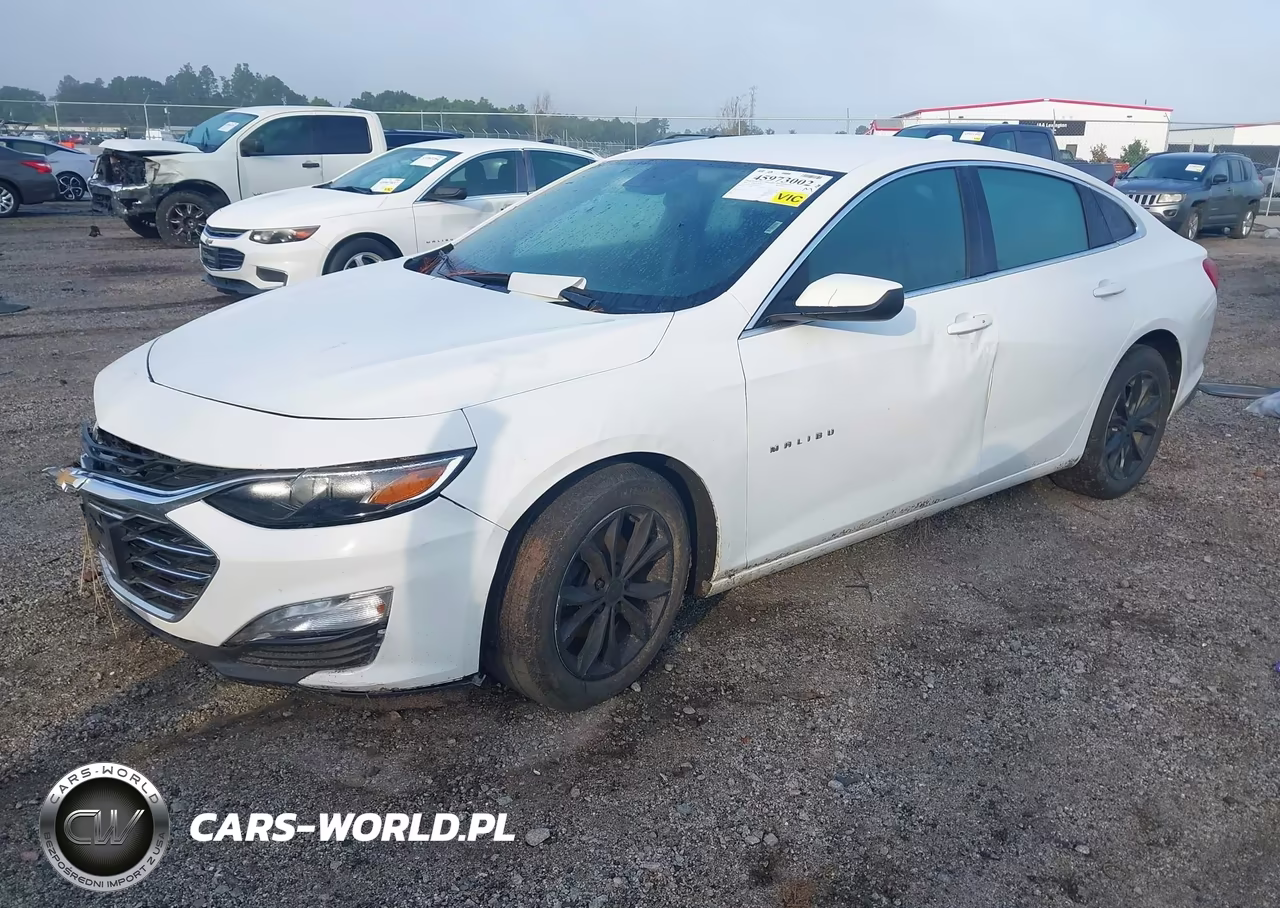 2023 Chevrolet Malibu Fwd 1Lt VIN:1G1ZD5ST9PF179333 - 2