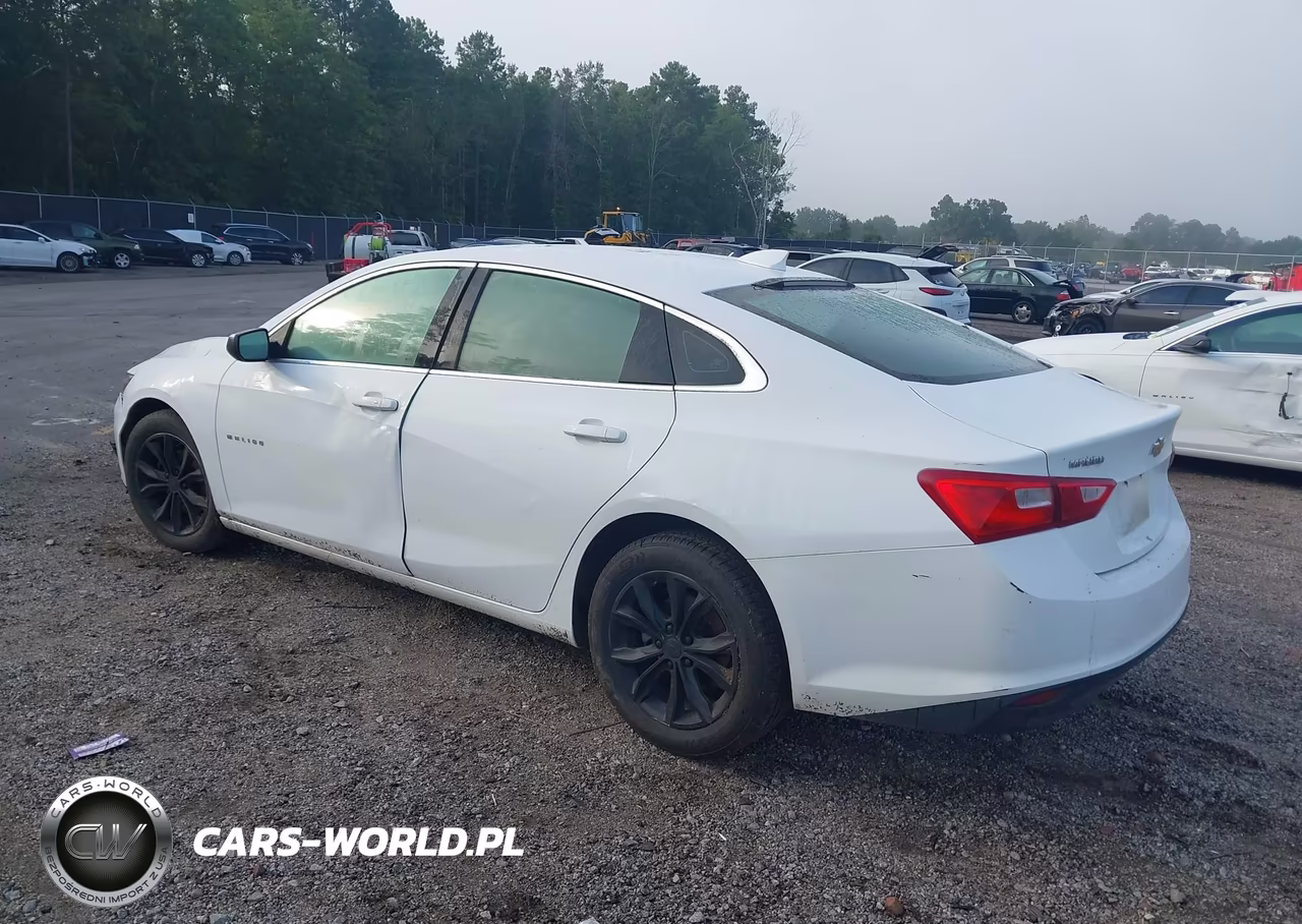 2023 Chevrolet Malibu Fwd 1Lt VIN:1G1ZD5ST9PF179333 - 3