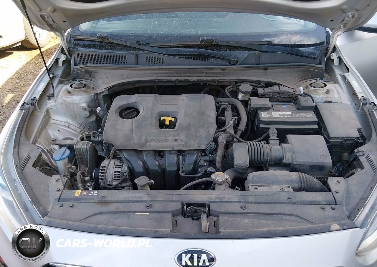 2019 Kia Forte S VIN:3KPF34AD3KE028282 - 10