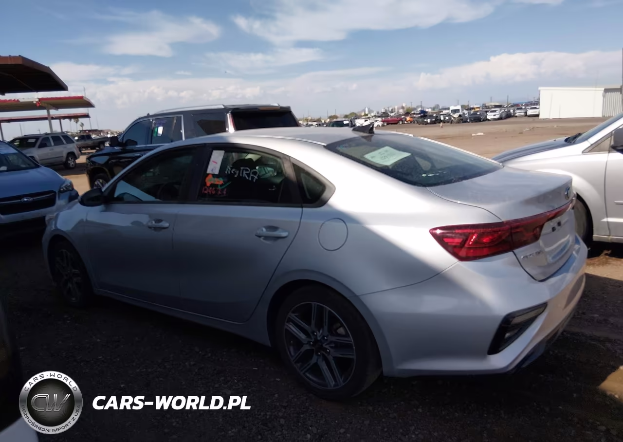 2019 Kia Forte S VIN:3KPF34AD3KE028282 - 13