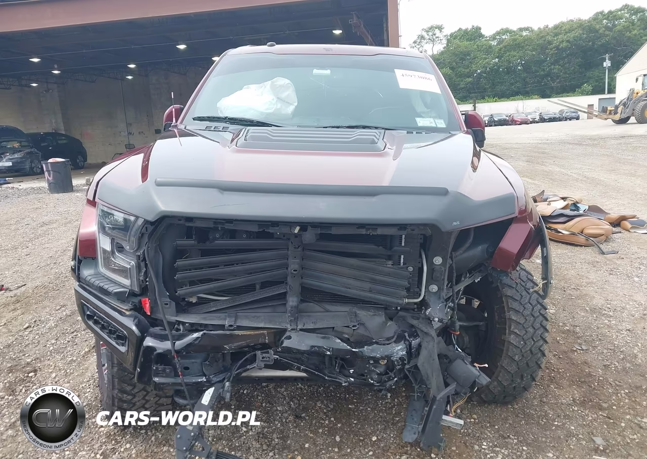 2018 Ford F-150 Raptor VIN:1FTFW1RG7JFE34266 - 13