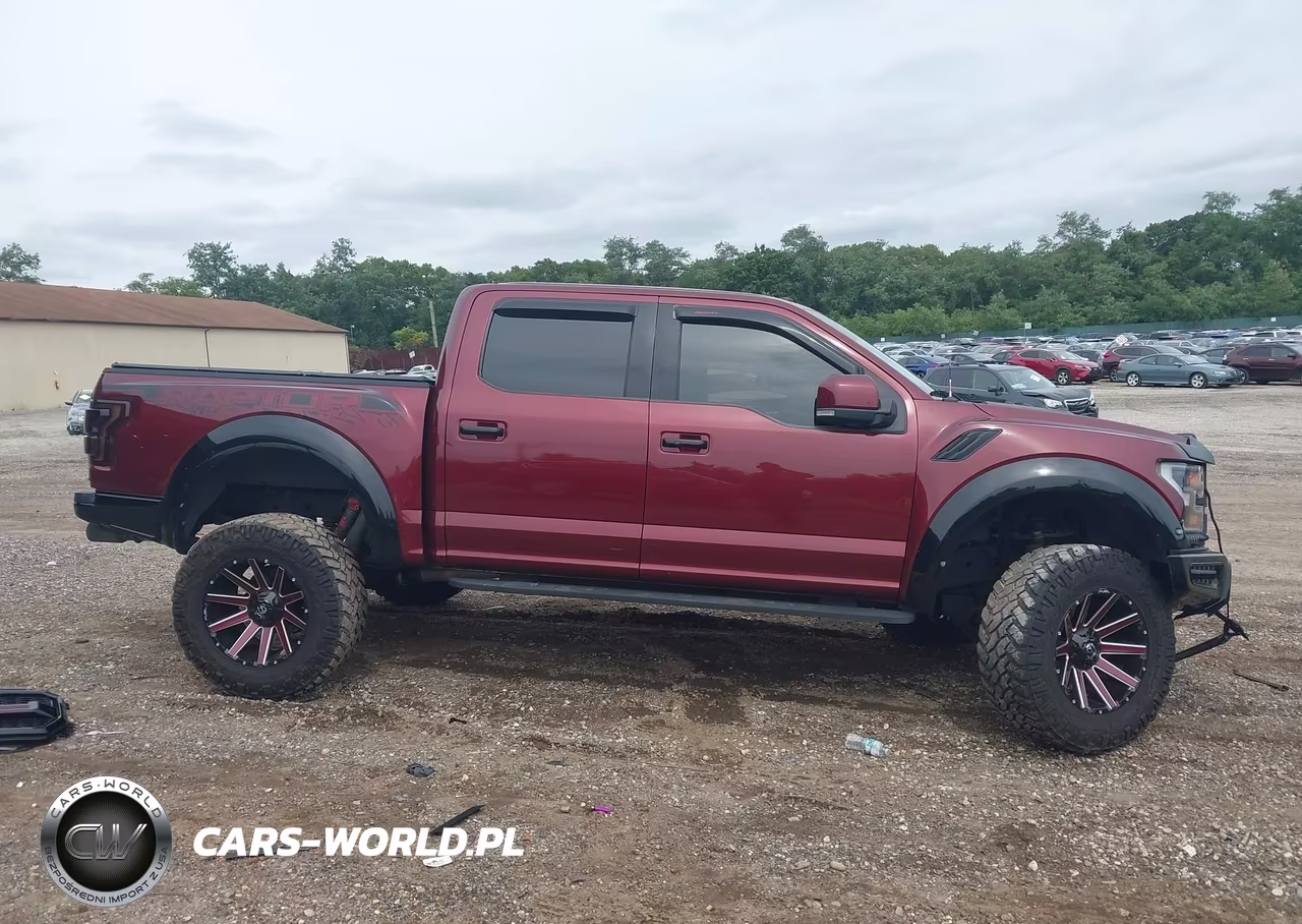 2018 Ford F-150 Raptor VIN:1FTFW1RG7JFE34266 - 14