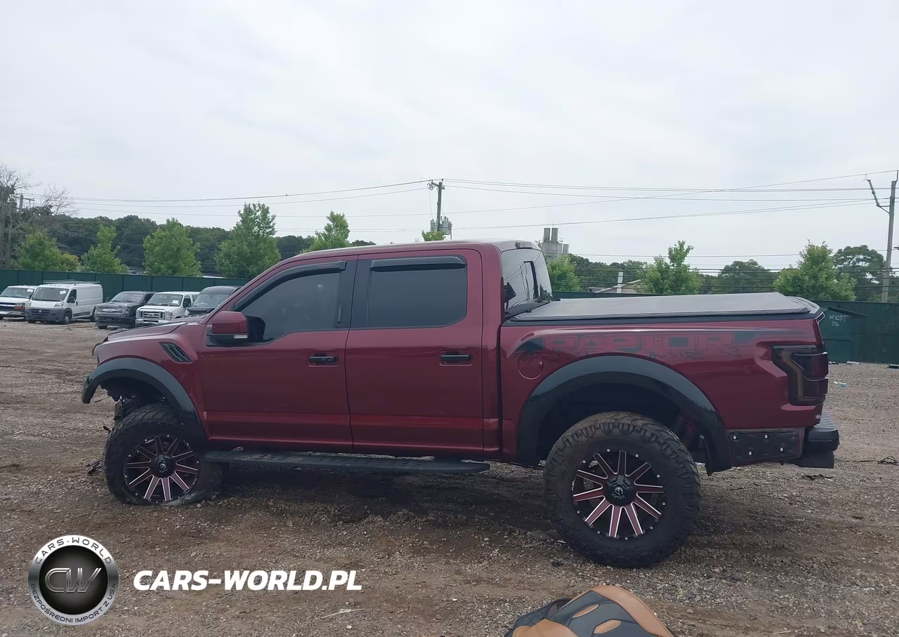 2018 Ford F-150 Raptor VIN:1FTFW1RG7JFE34266 - 15