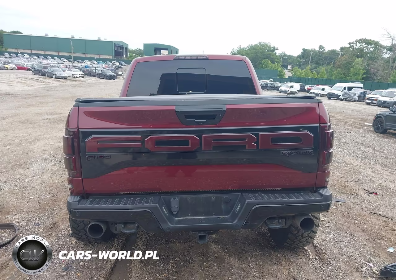 2018 Ford F-150 Raptor VIN:1FTFW1RG7JFE34266 - 17