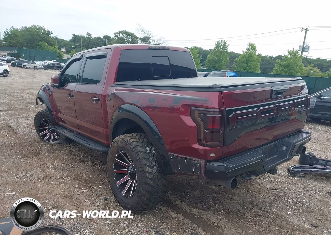 2018 Ford F-150 Raptor VIN:1FTFW1RG7JFE34266 - 3